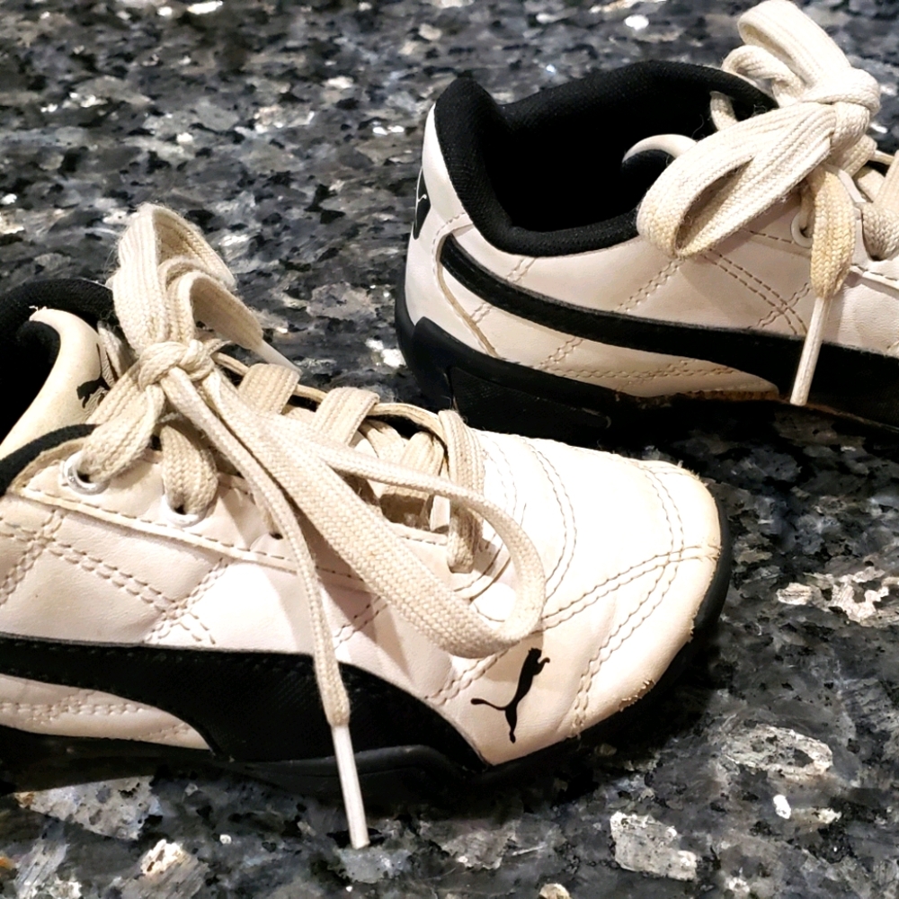 Pumas